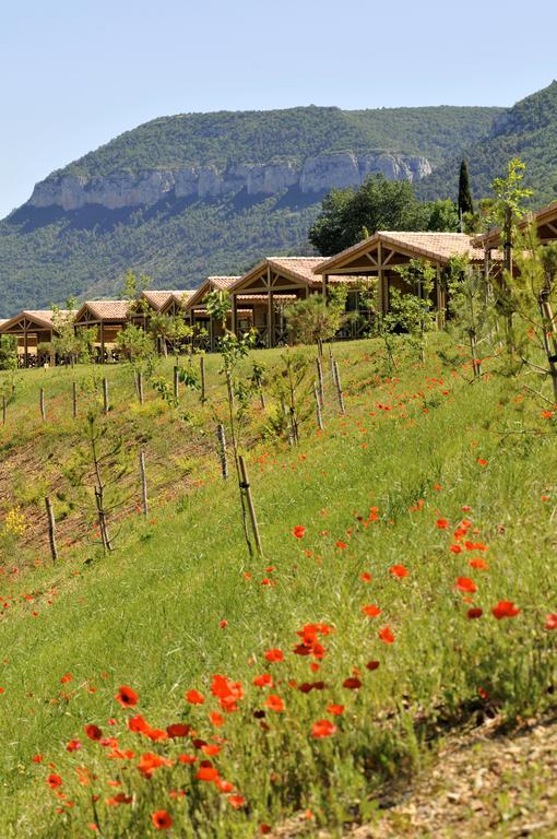 Domaine Saint Esteve Millau Rom bilde
